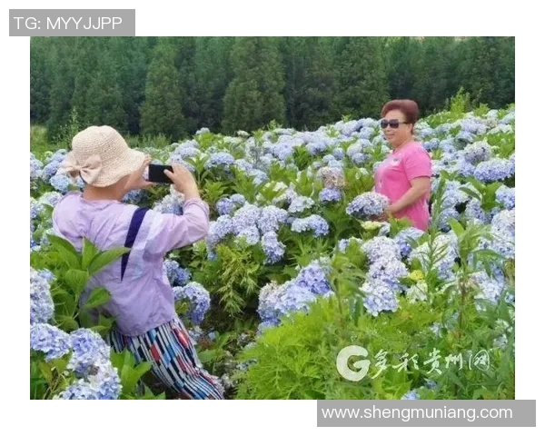 游泳魅力绽放 体坛盛会带你畅享水中风采与精彩表演 游泳魅力绽放 体坛盛会带你畅享水中风采与精彩表演
