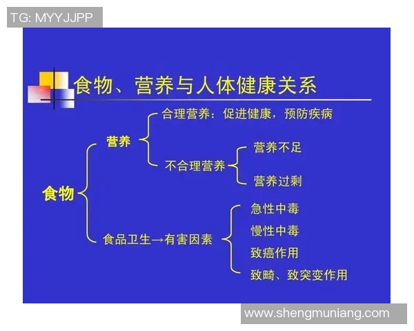 以体能训练为核心提升综合素质探讨全面发展与健康生活的关系