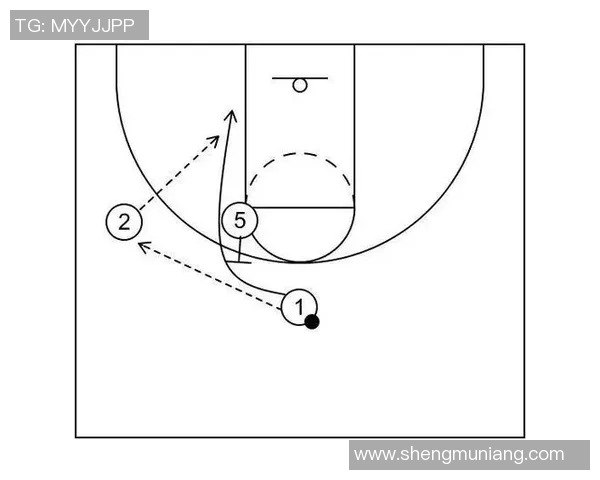 以小前锋为核心的篮球战术创新与发展分析