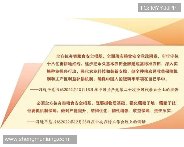 游泳锻炼全方位指南：提升体能、塑形与健康的最佳选择